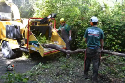 tree services Maricopa Colony